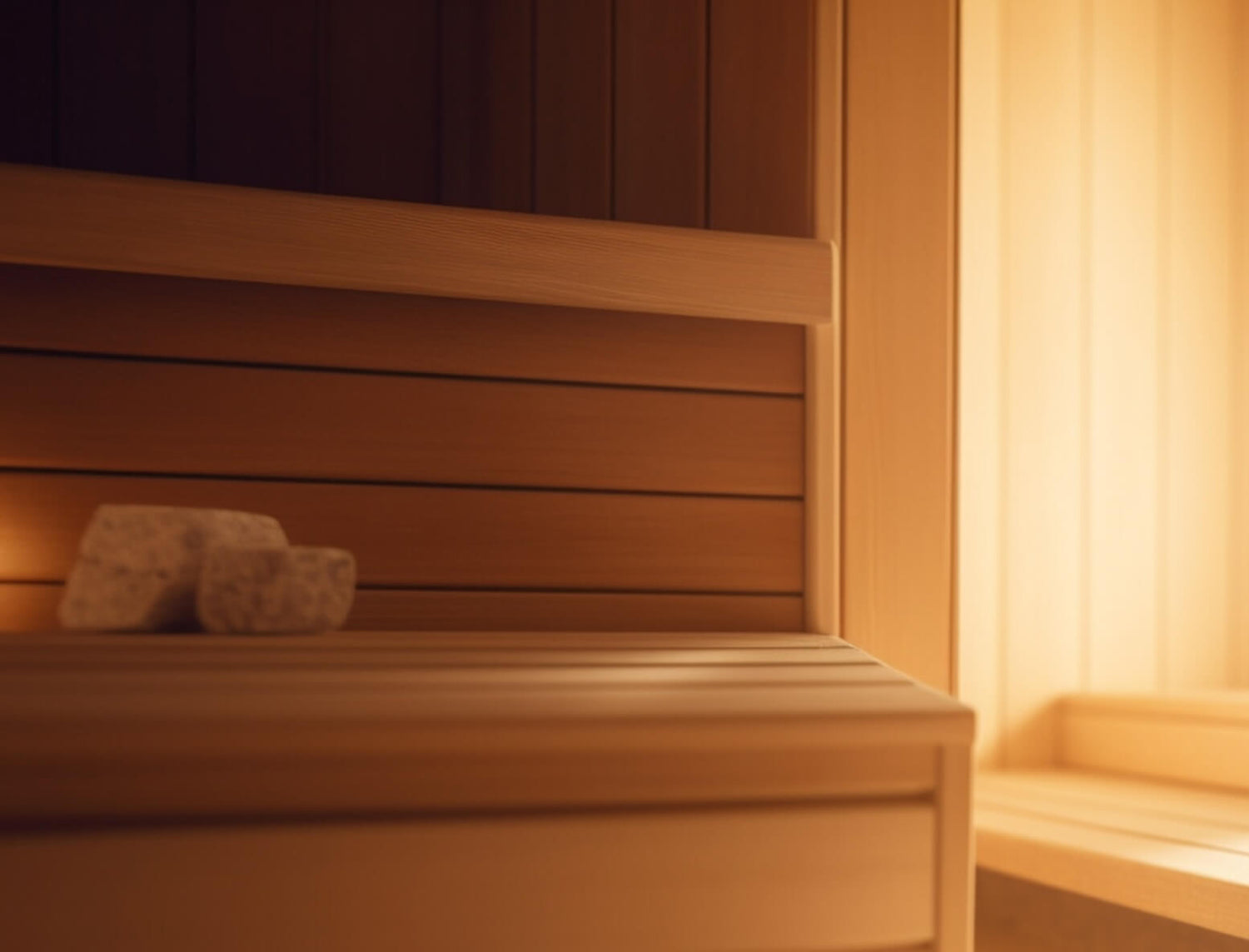 types of saunas